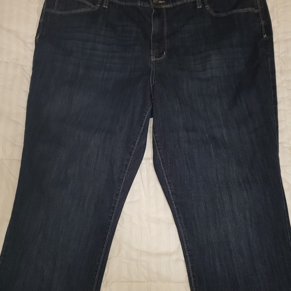 Simply Ver Vera Wang plus size skinny jeans 20w